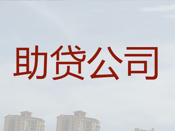 周口贷款公司-银行信用贷款